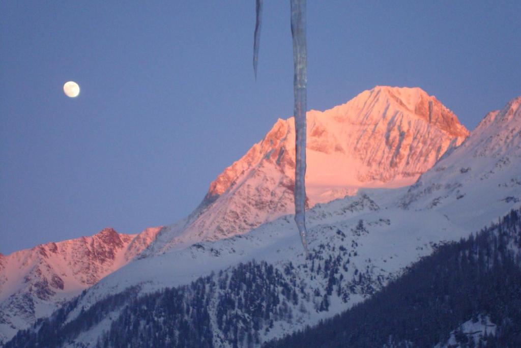 Hotel Bietschhorn Kippel Pokój zdjęcie